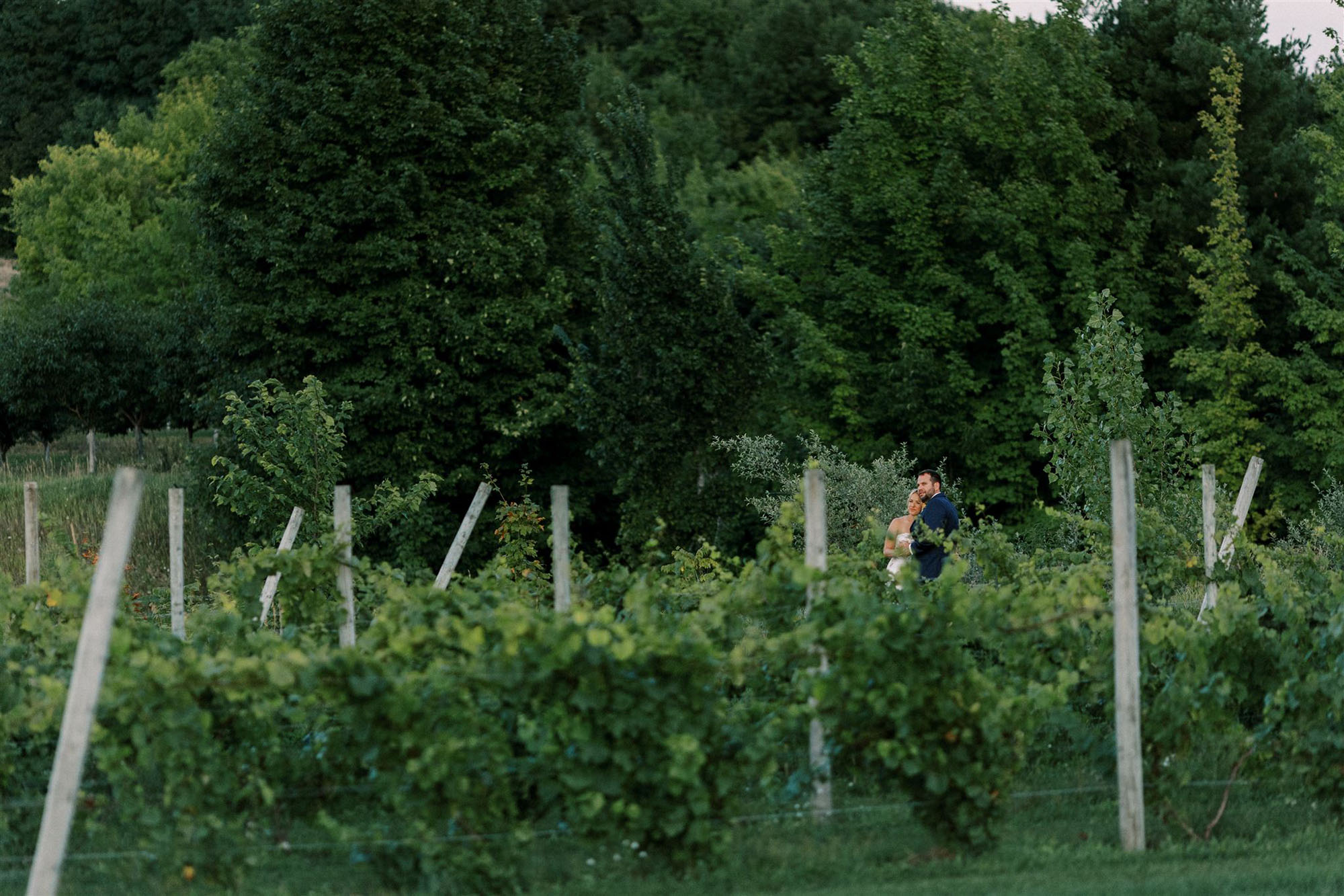 Orchards & Vineyards at Bay View Weddings at Gallagher Farms