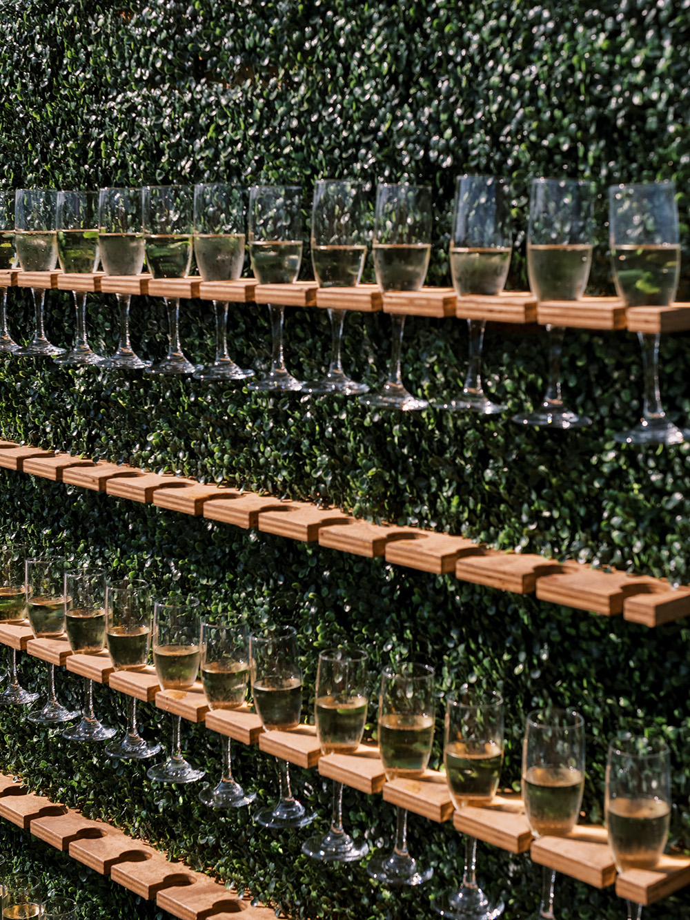 Champagne wall for Abby & Jake's Bay View Wedding